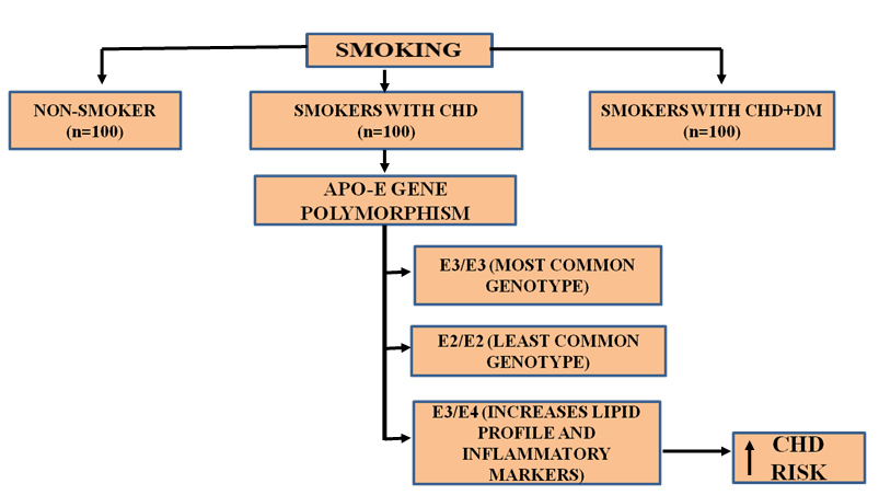 Graphical Abstract